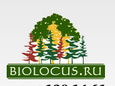 Биолокус, Питомник деревьев крупномеров