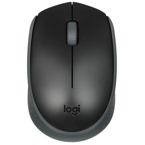 Беспроводная мышь Logitech M171Black_1