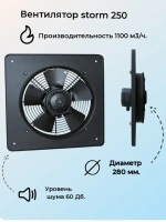 Вентилятор Storm YWF2E 250 осевой