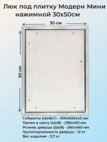 Ревизионный люк Модерн Мини 30х50