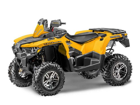 Квадроцикл STELS ATV 650 GUEPARD ST Stels