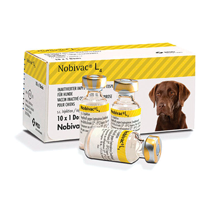 Вакцина для собак l. Нобивак Lepto 4. Нобивак с лептоспирозом для собак. Нобивак DHPPI l4. Нобивак l4 для собак.