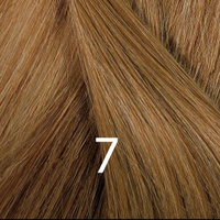 Краска для волос Фитоколор (PO963S, 7, блонд, 2 шт) Phytosolba (Франция)