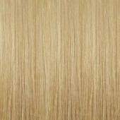 Illumina Color - Стойкая крем-краска (81639682/1617, 10/93, Яркий блонд золотистый сандре, 60 мл, Холодные оттенки) Well