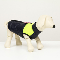 Куртка для собак на молнии, размер 8 (дс 23 см, ог 30, ош 22 см), синяя с желтым No brand