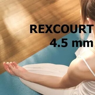 Линолеум Rexcourt 4.5мм