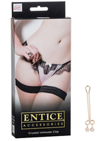 Зажим для половых губ Entice Crystal Intimate Clip с кристаллом California Exotic Novelties