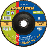 Шлифовальный лепестковый круг ПРАКТИКА 919-303