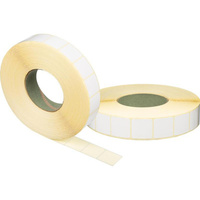 Термотрансферные этикетки 50x25 мм бумажные полуглянцевые (диаметр втулки 76 мм, 15 рулонов по 5000 этикеток)