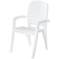 Кресло дачное элластик-пласт Прованс, белый Арт. ЭП 762884бл Элластик-Пласт